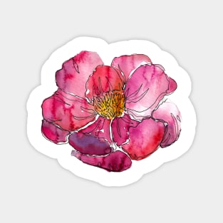 Watercolor peonies pink spring girly Magnet