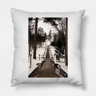 Gull Lake Winter Study 5 Pillow