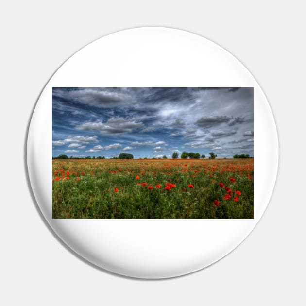 Essex Poppy Field Pin by Nigdaw