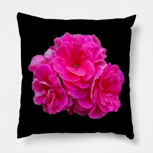 Pink bloom trio Pillow