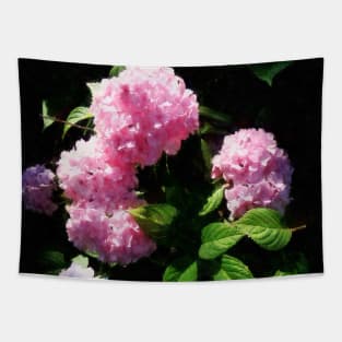 Hydrangea in Sunshine Tapestry