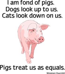 Pigs treat us as equals Magnet