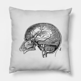 Brain Diagram Two - Anatomy Pillow