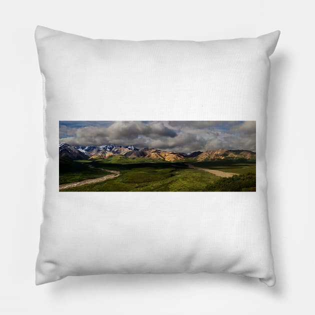 Denali Panorama_1249 Pillow by wgcosby