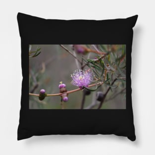 Graceful Honey-Myrtle Pillow