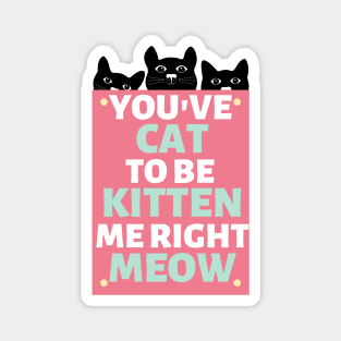 You've Cat to be Kitten Me Right Meow Magnet