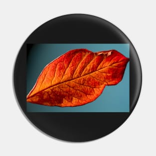 Rusty Leaf on Blue Pin