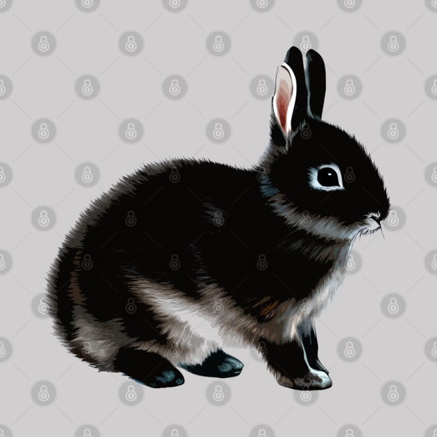 Black Otter Netherland Dwarf Rabbit Bunny by wigobun