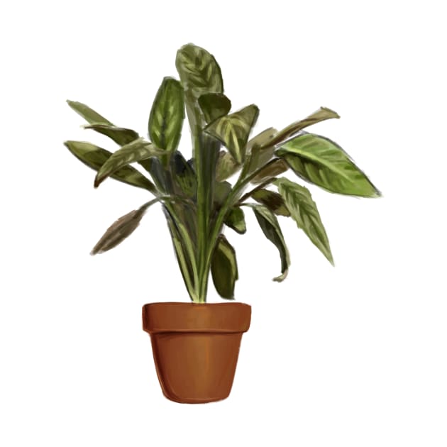 ficus by rebelshop