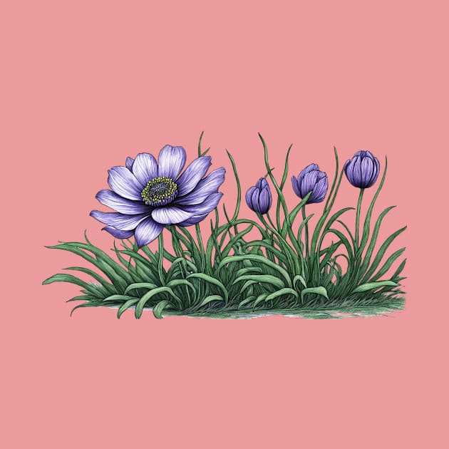 Anemone Flowers by XtremePixels