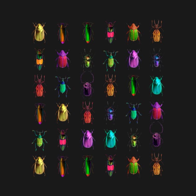 Bugs by OHH Baby