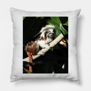 Cotton-top Tamarin Pillow