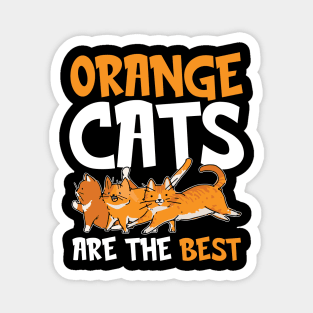 Orange Cats are The Best Magnet