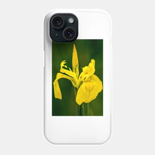 Yellow Iris - Eriskircher Ried - Lake Constance Phone Case