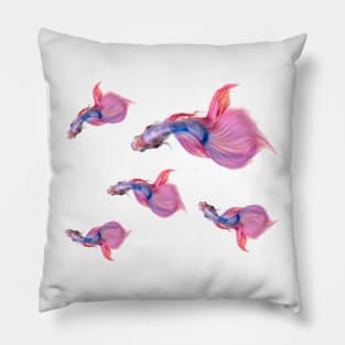 Betta Fish Siamese Pillow