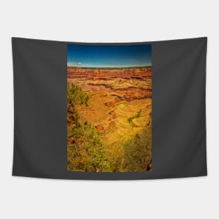 Rim Trail Viewpoint Grand Canyon Tapestry