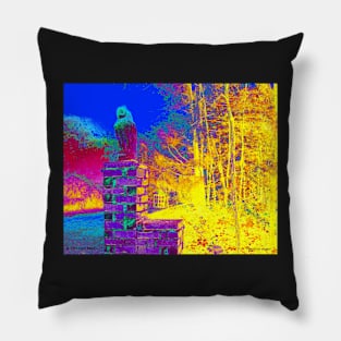 Night Owl Watch Pillow