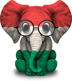 Baby Elephant with Glasses and Hungarian Flag Magnet