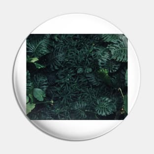 Luscious ferns Pin