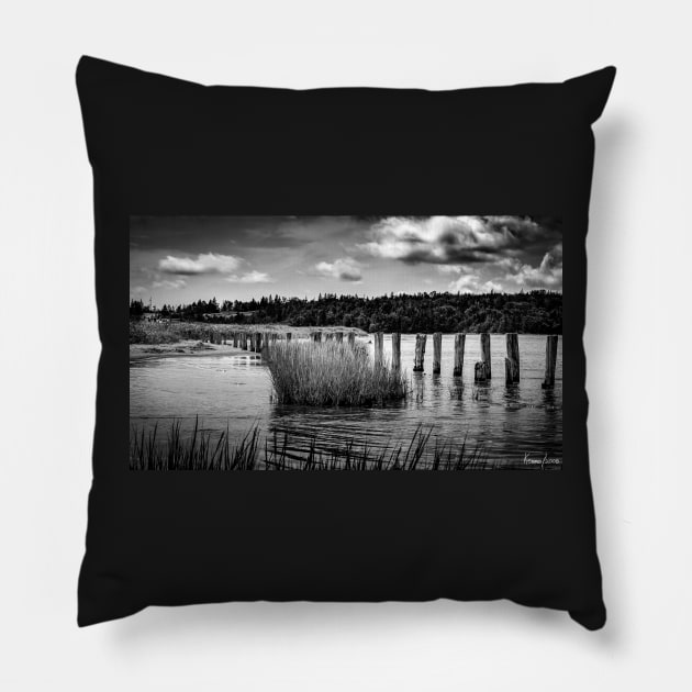 McCormack's Beach Provincial Park in Black & White Pillow by kenmo