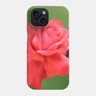 Pink Rose Flower and Buds Phone Case