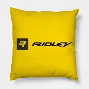 Your Gateway to Cycling Mastery Pillow