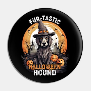 Fur-tastic Halloween Hound Dog Witch Costume Pin