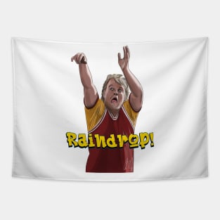 Along Came Polly: Raindrop! Tapestry