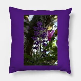 Vanda Orchid Pillow