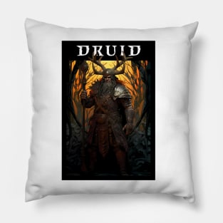 Diablo Druid Pillow