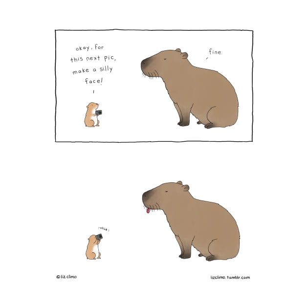 Silly Face by Liz Climo