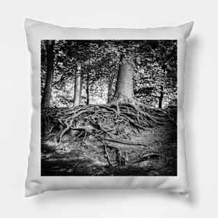 strong root system on the tree in the magic forest Pillow