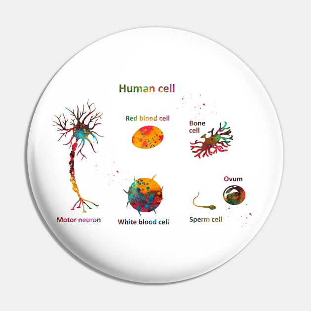 Human cell Pin by erzebeth