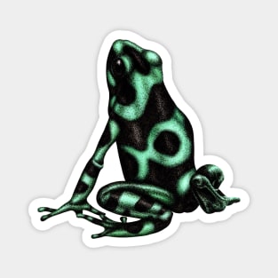 Green and black poison dart frog Magnet