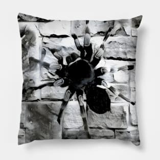 Spider Black and White Spray Paint Wall Pillow