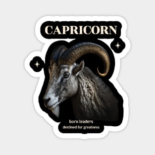 Capricorn Zodiac Design Magnet