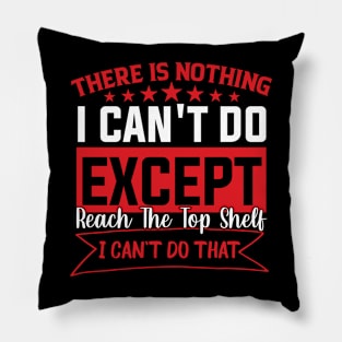 There Is Nothing Except Reach The Top Shelf sarcastic Pillow