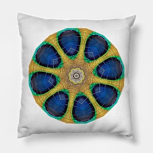 Peacock feather kaleidoscope Pillow