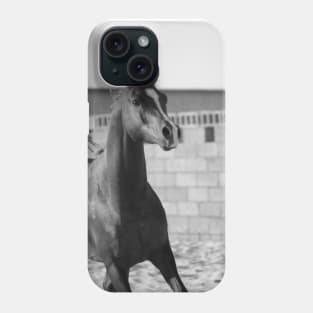 Arabian horse Phone Case