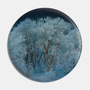 Magical Winter Night Pin