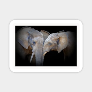 Elephant Animal Wildlife Jungle Nature Africa Adventure Discovery Digital Painting Magnet