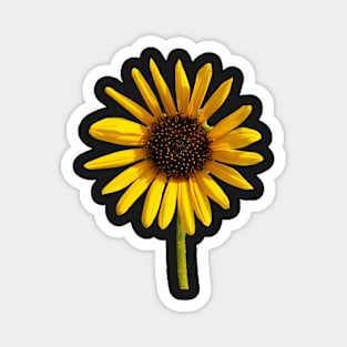 Lonely Sunflower Magnet