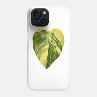 Colorful Variegated Monstera Deliciousa Aurea Design Phone Case