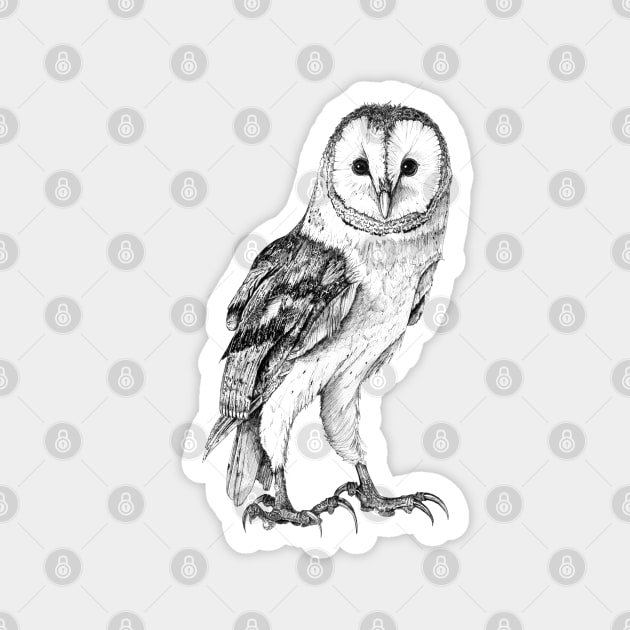Barn Owl - Drawing In Black Pen Magnet by seanfleming
