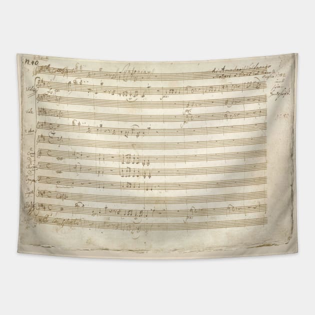 Mozart | Symphony 5 | Amadeus Mozart original manuscript score Tapestry by Musical design