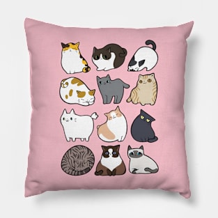 Cats Cats Cats Pillow