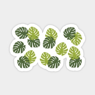 Palm Leave Pattern Magnet