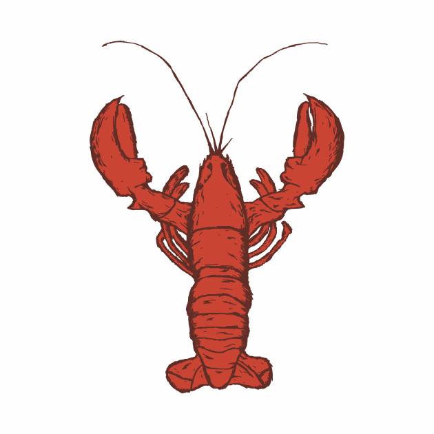 Lobster Size Chart