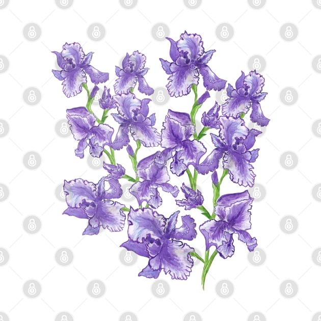FLOWERS Irises-Bouquet of irises-Beautiful irises by KrasiStaleva