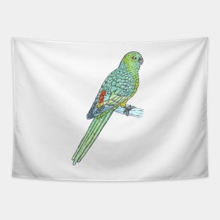 Red-rumped Parrot Tapestry